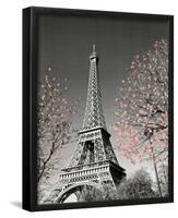 Paris Blossoms-null-Framed Mini Poster