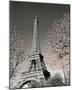 Paris Blossoms-null-Mounted Mini Poster