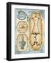 Paris Boutique II-Gregory Gorham-Framed Art Print