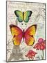 Paris Butterflies I-Elizabeth Medley-Mounted Art Print