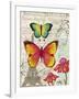 Paris Butterflies I-Elizabeth Medley-Framed Art Print