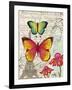 Paris Butterflies I-Elizabeth Medley-Framed Art Print