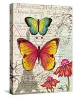 Paris Butterflies I-Elizabeth Medley-Stretched Canvas