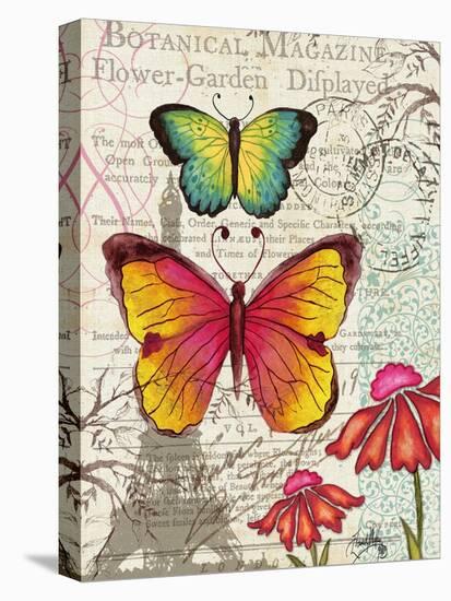 Paris Butterflies I-Elizabeth Medley-Stretched Canvas