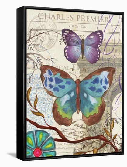 Paris Butterflies II-Elizabeth Medley-Framed Stretched Canvas