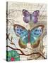 Paris Butterflies II-Elizabeth Medley-Stretched Canvas