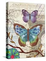 Paris Butterflies II-Elizabeth Medley-Stretched Canvas