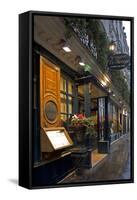 Paris Cafe IV-Rita Crane-Framed Stretched Canvas