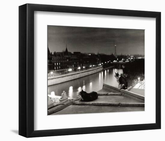 Paris, Cats at Night-Robert Doisneau-Framed Art Print