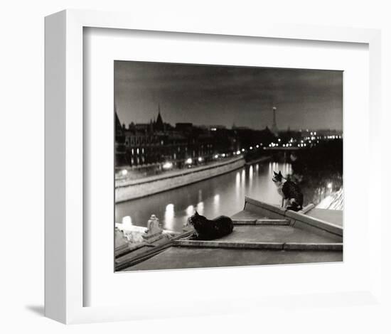 Paris, Cats at Night-Robert Doisneau-Framed Art Print