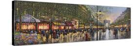 Paris Champs Elysees-Guy Dessapt-Stretched Canvas