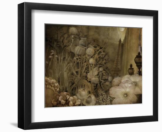 Paris-City of Flowers-Dawne Polis-Framed Art Print