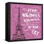 Paris City-Lauren Gibbons-Framed Stretched Canvas