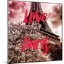 Paris Fashion Series - Love Paris - Pink Eiffel II-Philippe Hugonnard-Mounted Photographic Print