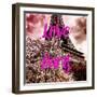 Paris Fashion Series - Love Paris - Pink Eiffel-Philippe Hugonnard-Framed Photographic Print