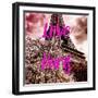 Paris Fashion Series - Love Paris - Pink Eiffel-Philippe Hugonnard-Framed Photographic Print