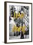 Paris Fashion Series - Love Paris - Stairs of Montmartre-Philippe Hugonnard-Framed Photographic Print