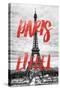 Paris Fashion Series - Paris Eiffel V-Philippe Hugonnard-Stretched Canvas