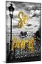 Paris Fashion Series - So Paris - Pont des Arts-Philippe Hugonnard-Mounted Photographic Print