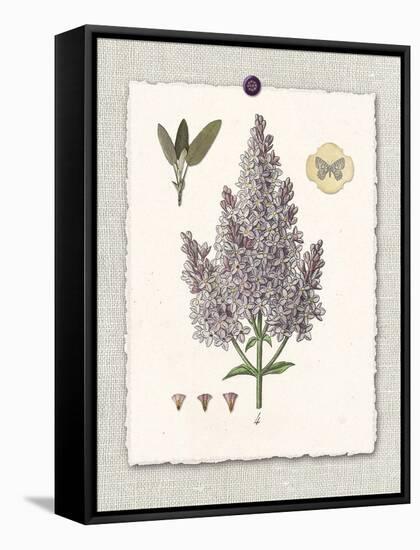 Paris Flea Market Lilacs-Devon Ross-Framed Stretched Canvas