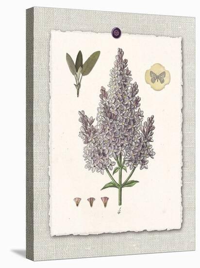 Paris Flea Market Lilacs-Devon Ross-Stretched Canvas