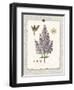 Paris Flea Market Lilacs-Devon Ross-Framed Art Print