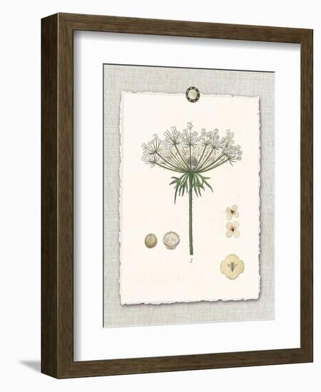 Paris Flea Market Queen Anne's Lace-Devon Ross-Framed Art Print