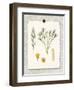 Paris Flea Market White Floral-Devon Ross-Framed Art Print