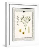 Paris Flea Market White Floral-Devon Ross-Framed Art Print
