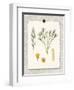 Paris Flea Market White Floral-Devon Ross-Framed Art Print