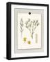 Paris Flea Market White Floral-Devon Ross-Framed Art Print