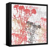 Paris Floral-Bee Sturgis-Framed Stretched Canvas