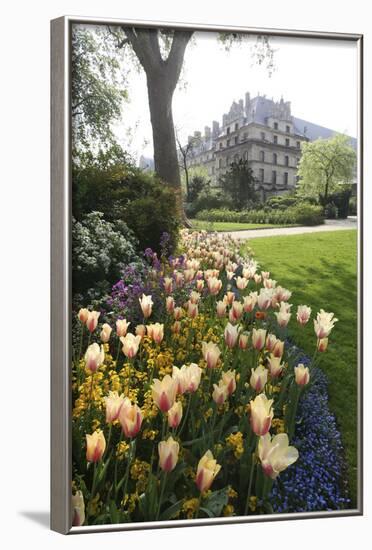 Paris Flowers-Chris Bliss-Framed Photographic Print
