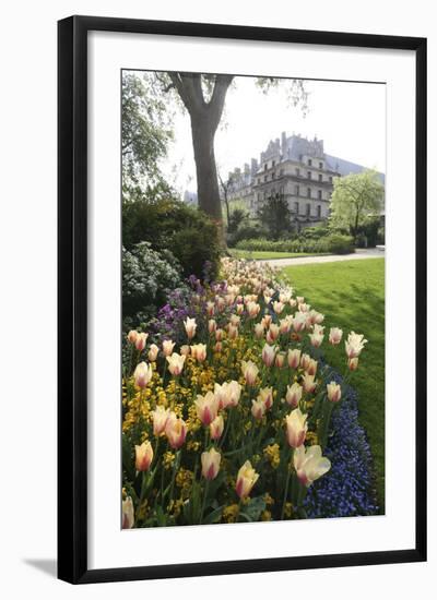 Paris Flowers-Chris Bliss-Framed Photographic Print