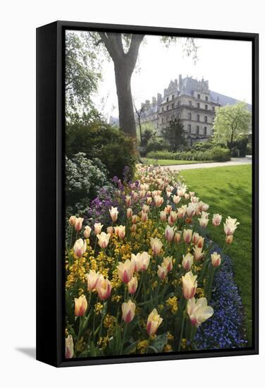 Paris Flowers-Chris Bliss-Framed Stretched Canvas