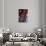 Paris Focus - Bar Menu-Philippe Hugonnard-Photographic Print displayed on a wall