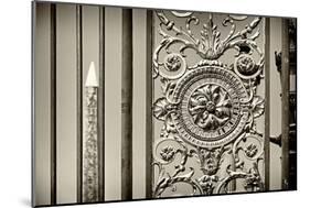 Paris Focus - Close-up on a Portal-Philippe Hugonnard-Mounted Photographic Print