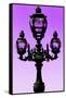 Paris Focus - Colors French Lamppost-Philippe Hugonnard-Framed Stretched Canvas