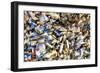 Paris Focus - Love Locks-Philippe Hugonnard-Framed Photographic Print