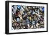 Paris Focus - Love Locks-Philippe Hugonnard-Framed Photographic Print