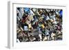 Paris Focus - Love Locks-Philippe Hugonnard-Framed Photographic Print