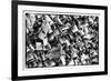 Paris Focus - Love Locks-Philippe Hugonnard-Framed Photographic Print