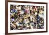 Paris Focus - Love Locks-Philippe Hugonnard-Framed Photographic Print