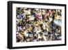 Paris Focus - Love Locks-Philippe Hugonnard-Framed Photographic Print