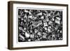 Paris Focus - Love Locks-Philippe Hugonnard-Framed Photographic Print