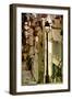 Paris Focus - Montmartre-Philippe Hugonnard-Framed Photographic Print