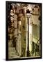 Paris Focus - Montmartre-Philippe Hugonnard-Framed Photographic Print