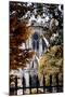 Paris Focus - Notre Dame Cathedral in Autumn-Philippe Hugonnard-Mounted Premium Photographic Print