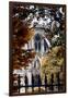 Paris Focus - Notre Dame Cathedral in Autumn-Philippe Hugonnard-Framed Photographic Print