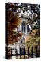 Paris Focus - Notre Dame Cathedral in Autumn-Philippe Hugonnard-Stretched Canvas